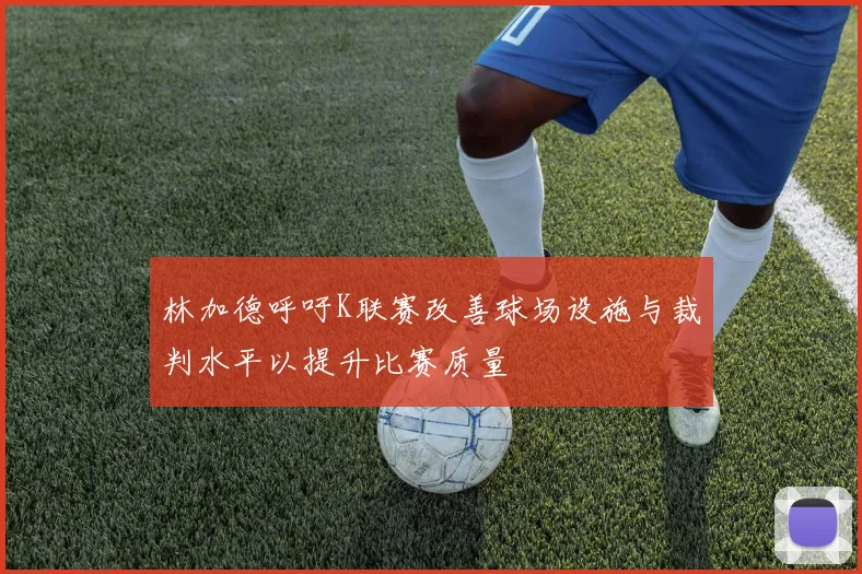 林加德呼吁K联赛改善球场设施与裁判水平以提升比赛质量