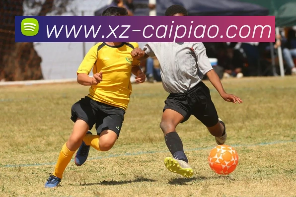 App Interface Preview